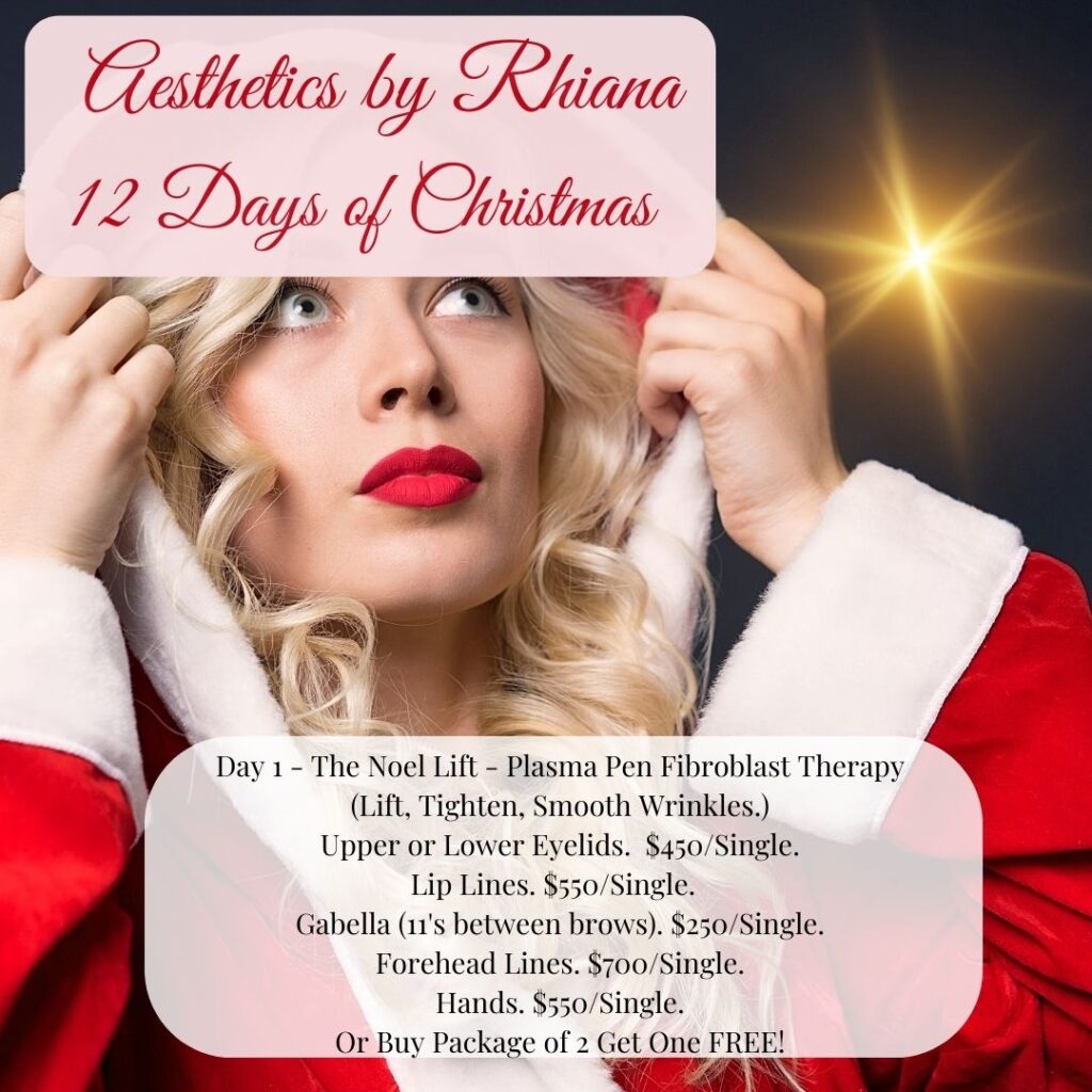 Day 1 Aesthetics By Rhiana 12 Days of Christmas